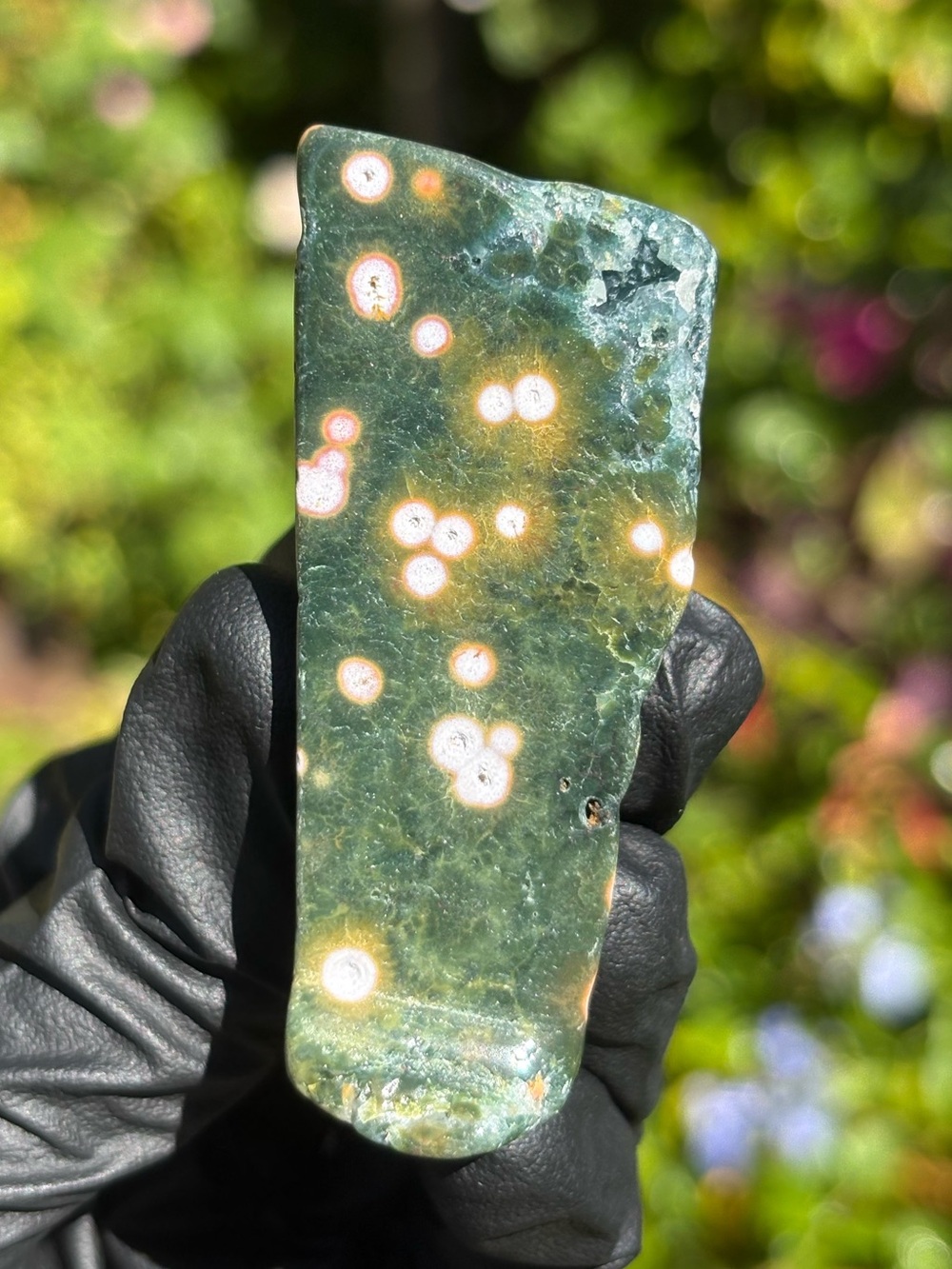 Ocean Jasper Freeform with Druzy Pocket - Polished Sea Jasper